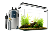 aquarium-img