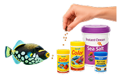 saltwater-img