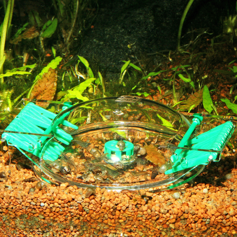 124702-7.jpg
