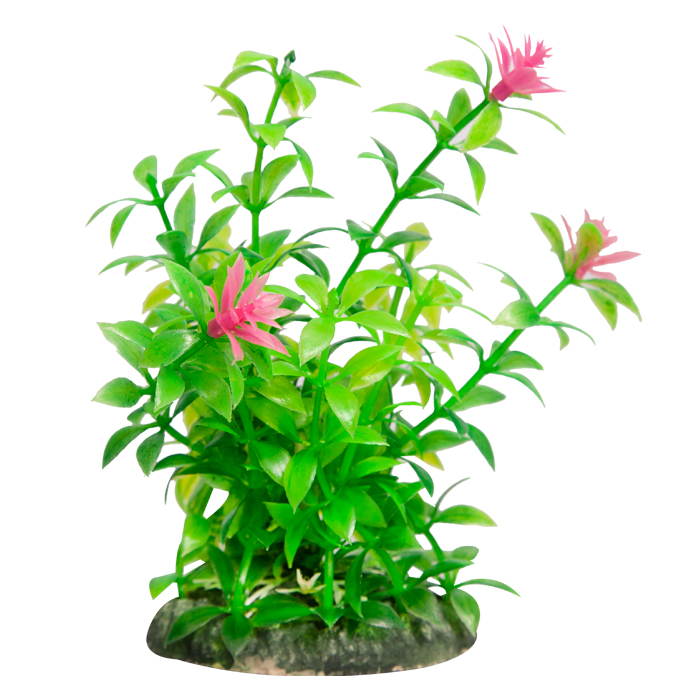 Ecoscape Small Ludwigia Green