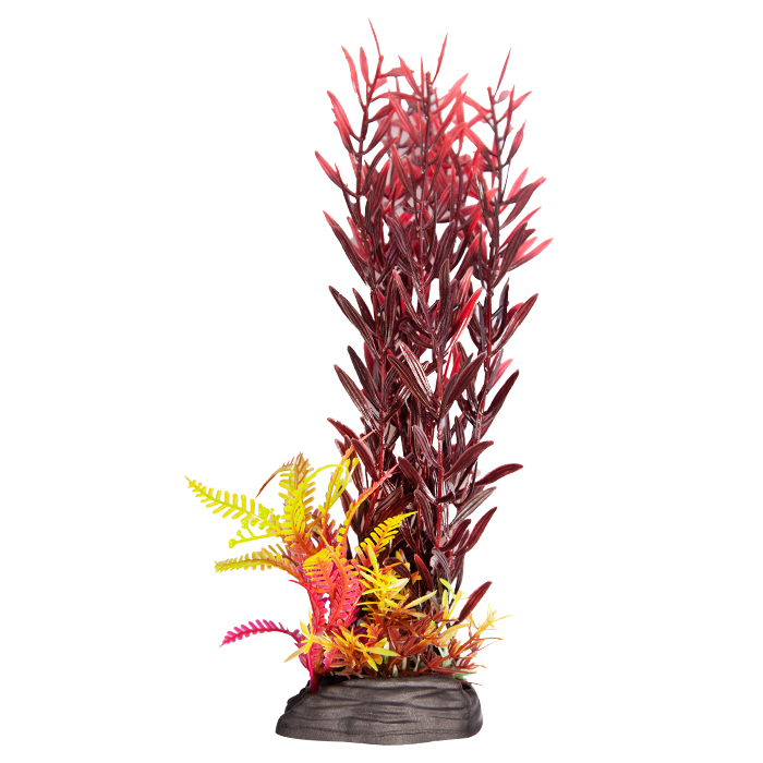 Ecoscape Large Ludwigia Brevipes Red