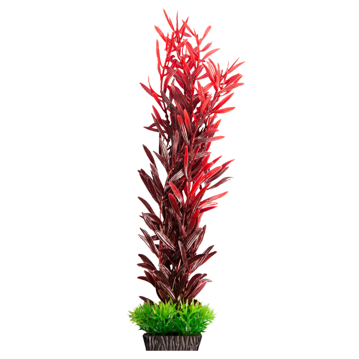 Ecoscape Large Ludwigia Brevipes Red