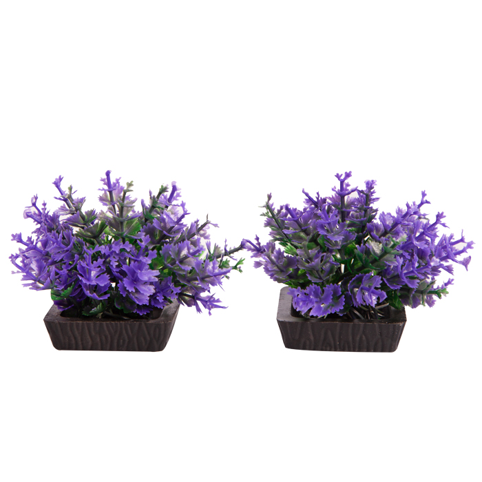 Ecoscape Foreground Catspaw 2pk Purple