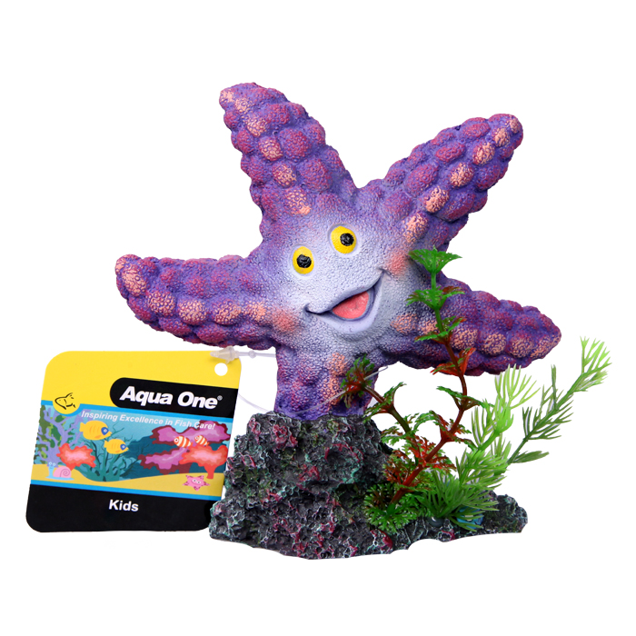 Ornament Starfish W Rock 11.5×5.5×12.5cmh