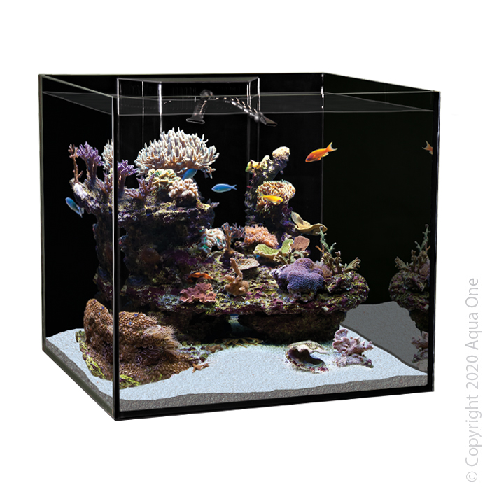Reefsys 180 Marine Tank 180l 60 L X 55 D X 53cm H 10mm Inc Plumbing