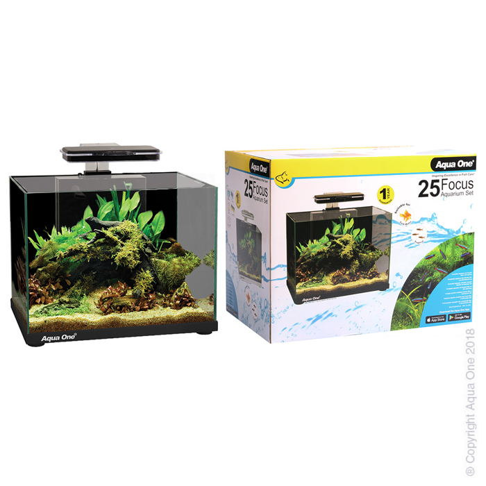 Focus 25 Glass Aquarium 25l 40l X 25d X 31cm H (black)