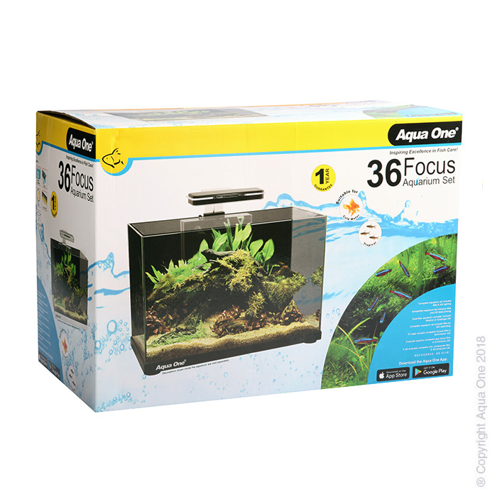 Focus 36 Glass Aquarium 36l 50l X 25d X 34cm H (black)