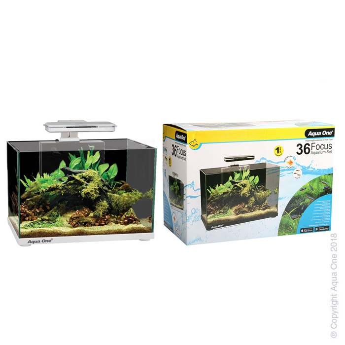 Focus 36 Glass Aquarium 36l 50l X 25d X 34cm H (white)