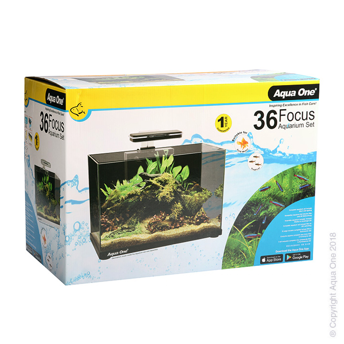 Focus 36 Glass Aquarium 36l 50l X 25d X 34cm H (white)