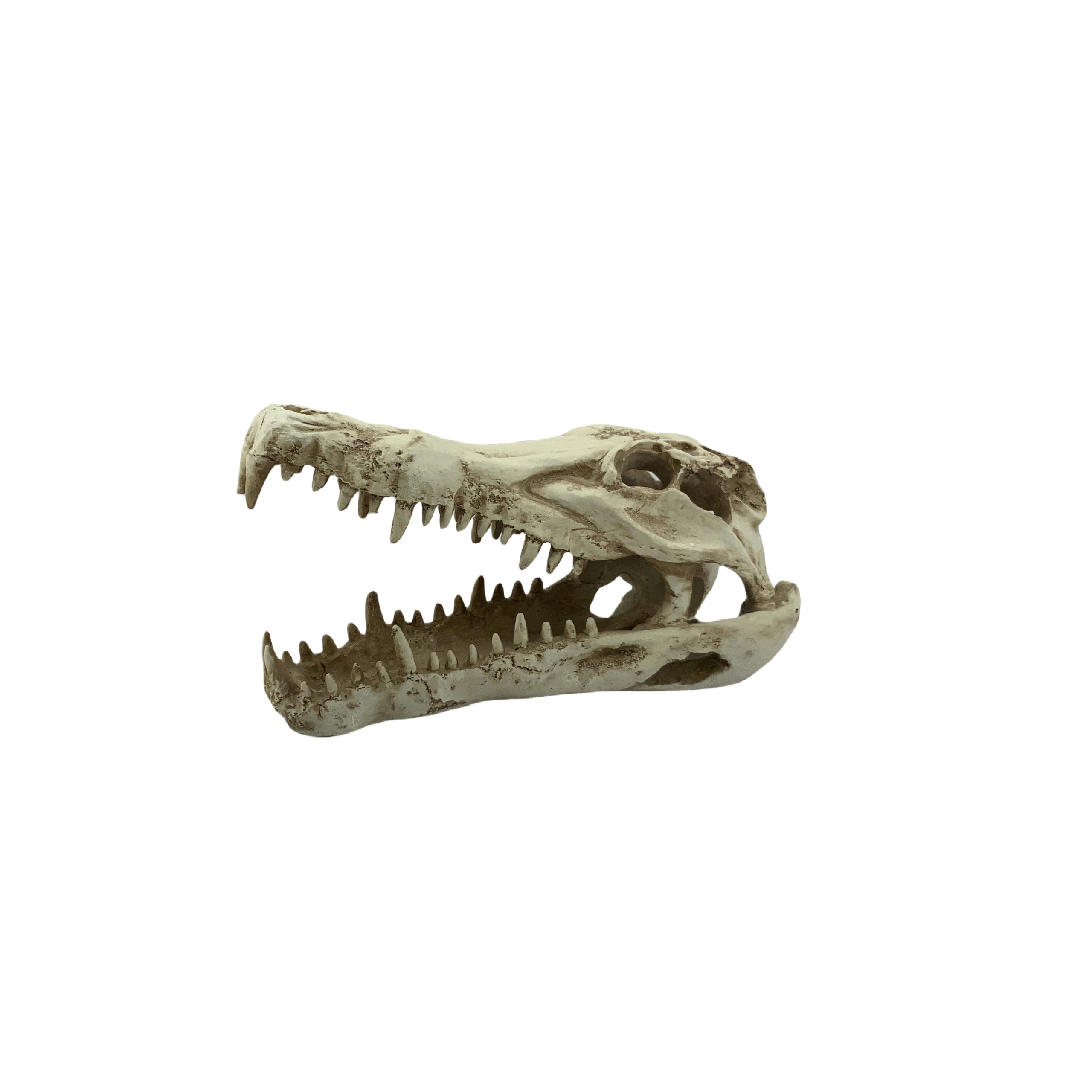 P0086S Alligator Head 11×25.8×12.8