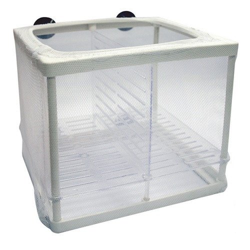 Absolute Breeder Net Small