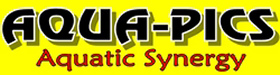 Aqua pics logo 1