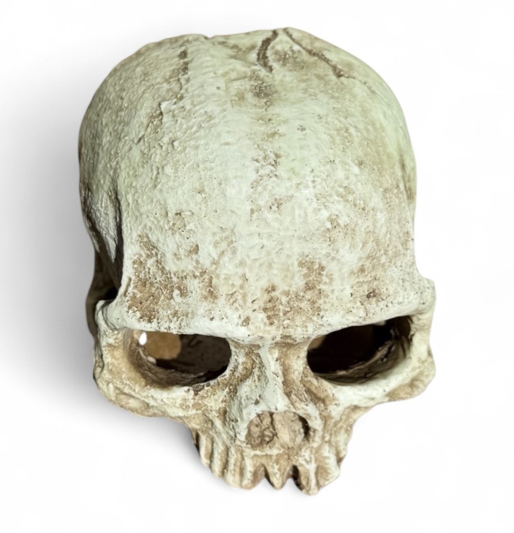 POS42G Skull S Glow 9.7x13x9.8