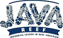 java reef