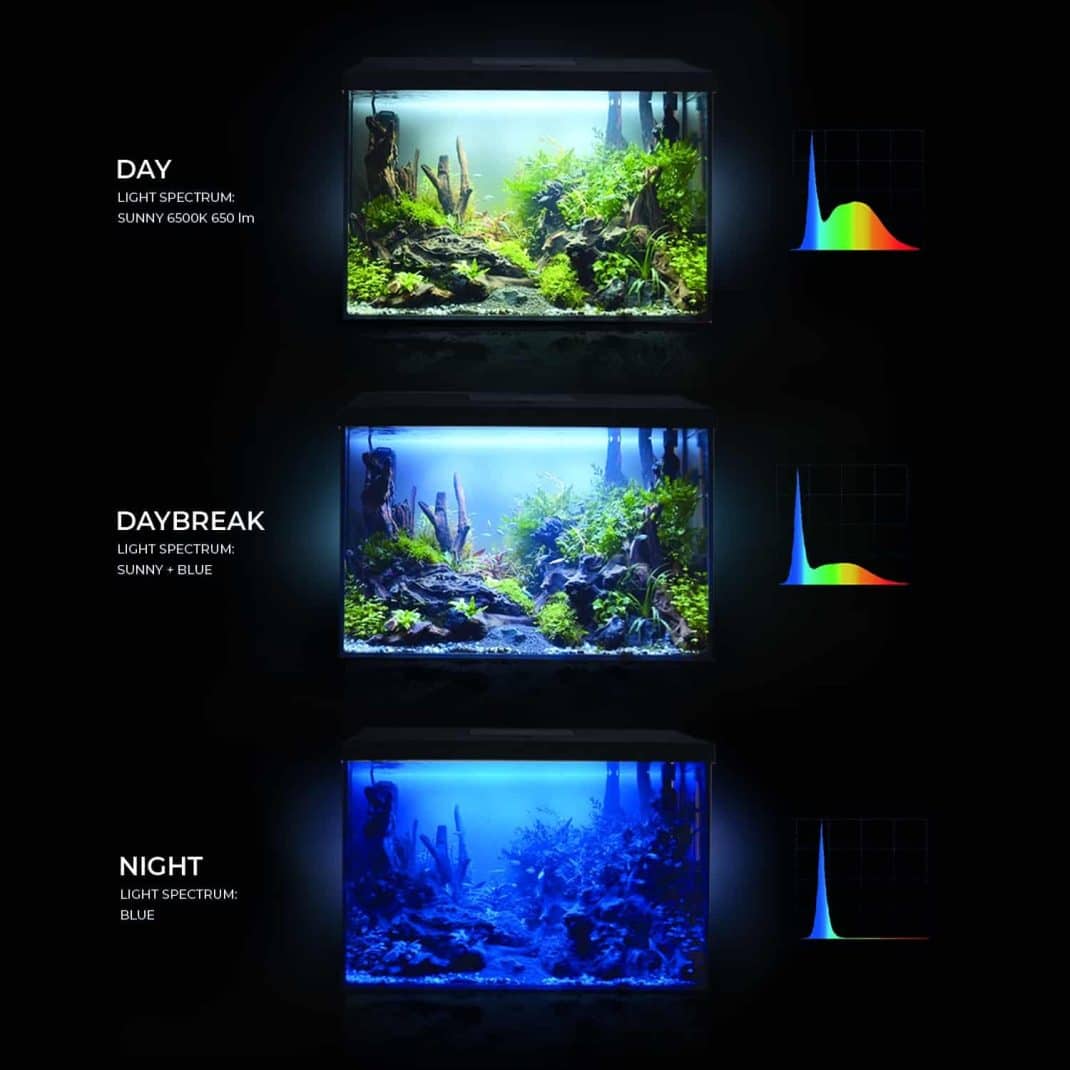 Aquael Leddy Day & Night 60 Black Aquarium Set