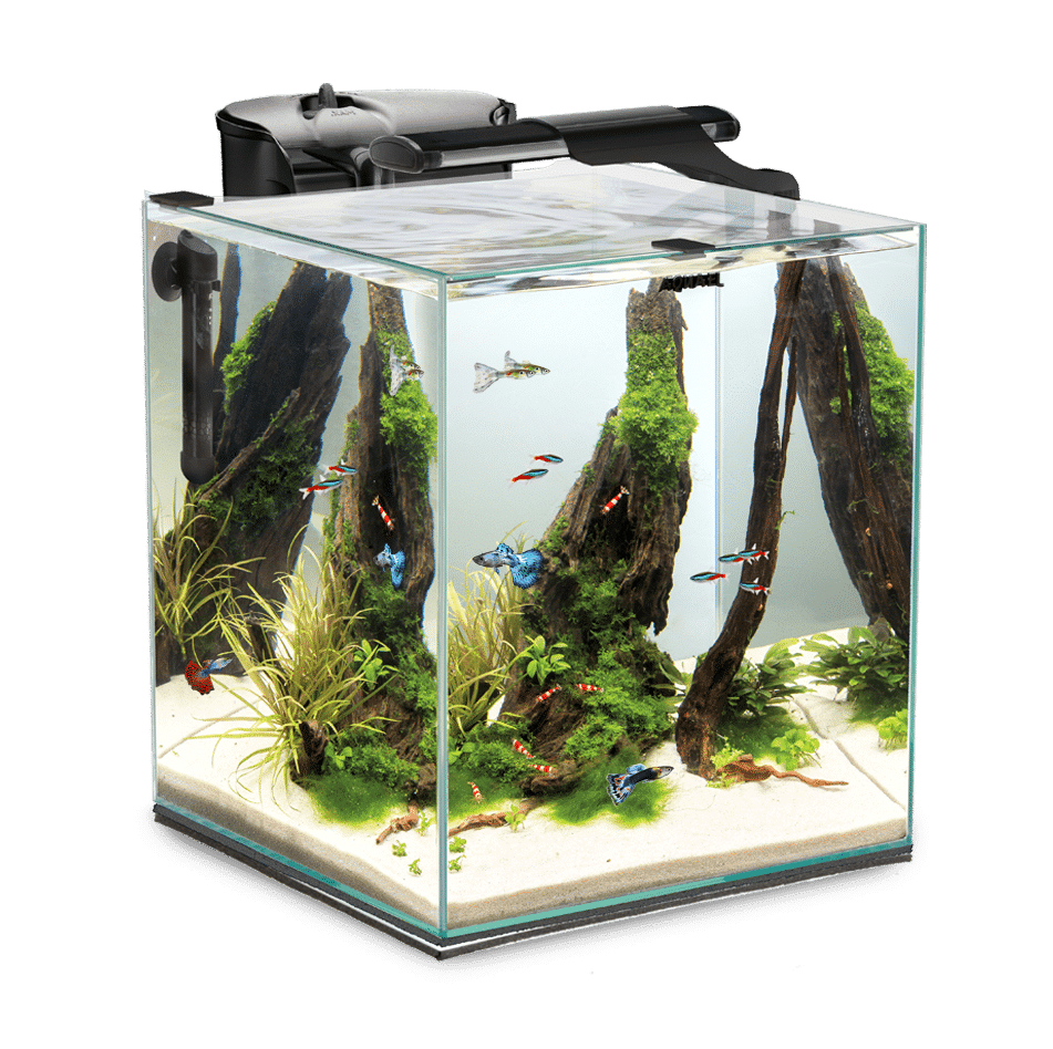 Aquael Fish & Shrimp Set Duo 35 Black Aquarium