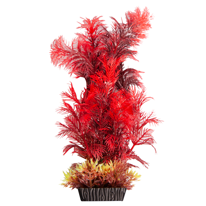 Ecoscape Medium Cabomba Red