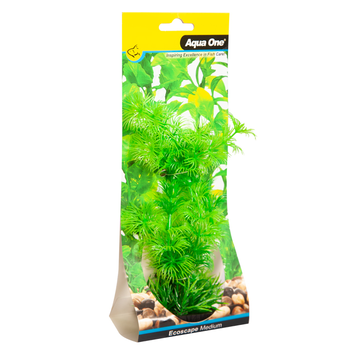 Ecoscape Medium Ambulia Green