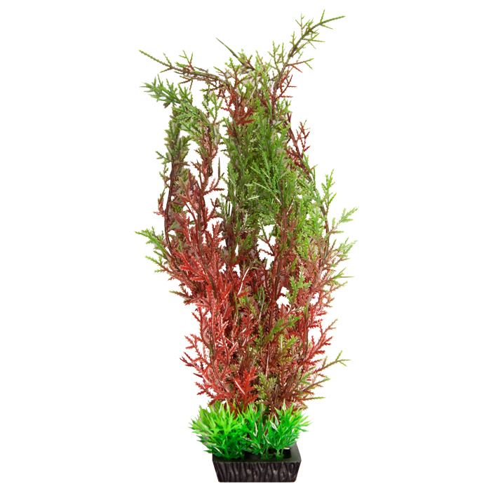 Ecoscape Large Christmas Moss Red