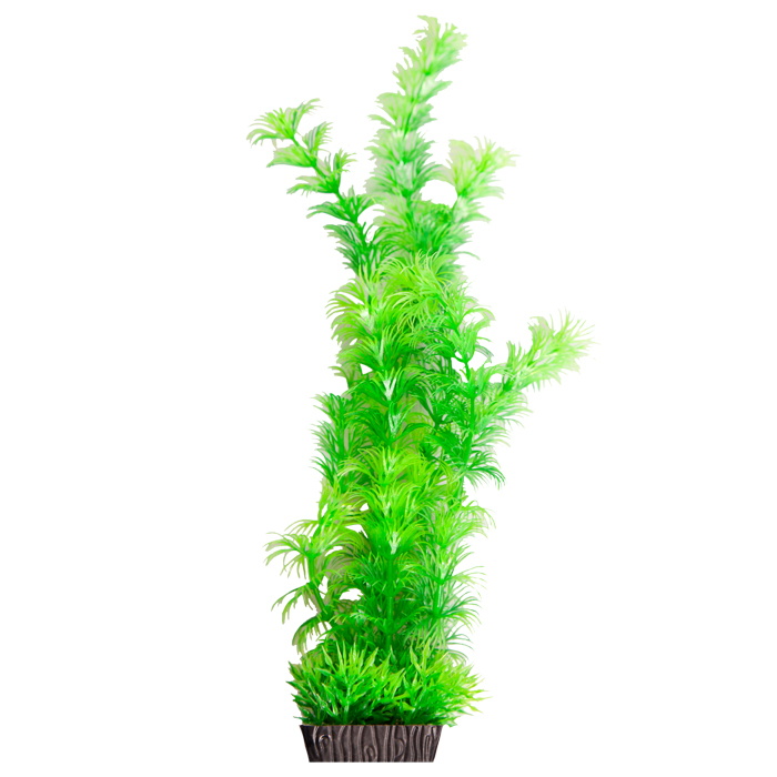 Ecoscape Large Ambulia Green