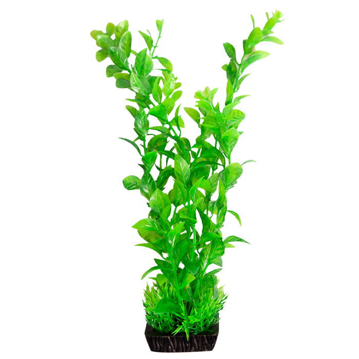 Ecoscape Large Hygro Green