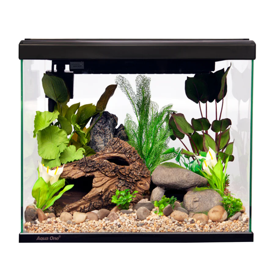 Lifestyle Classic 72 Complete Glass Aquarium 60cm 72l Satin Black