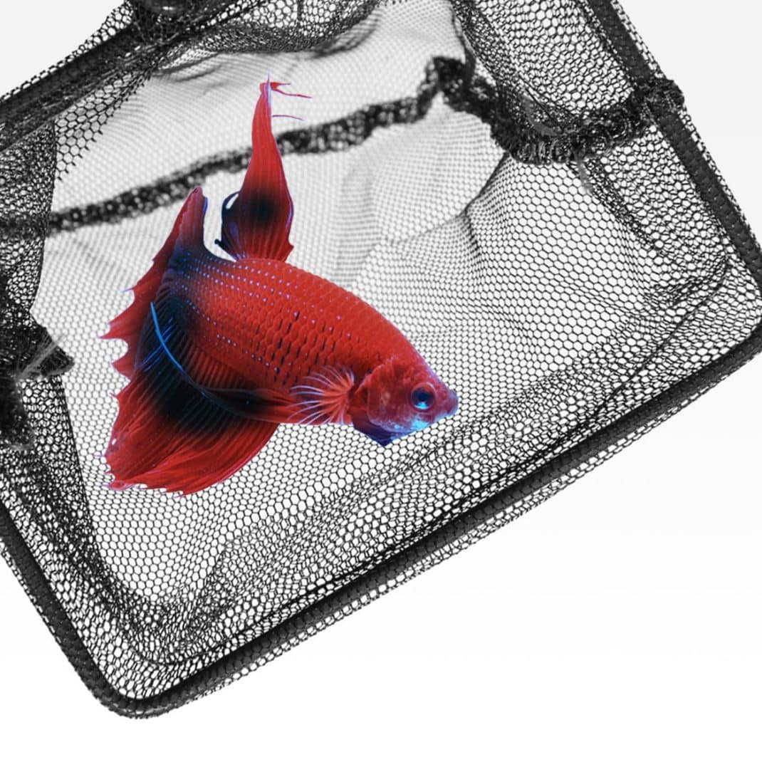 Seachem Fish Net 8.5cm / 3″ – Fine Mesh