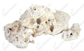 Ap Naturals Texas Holey Rock