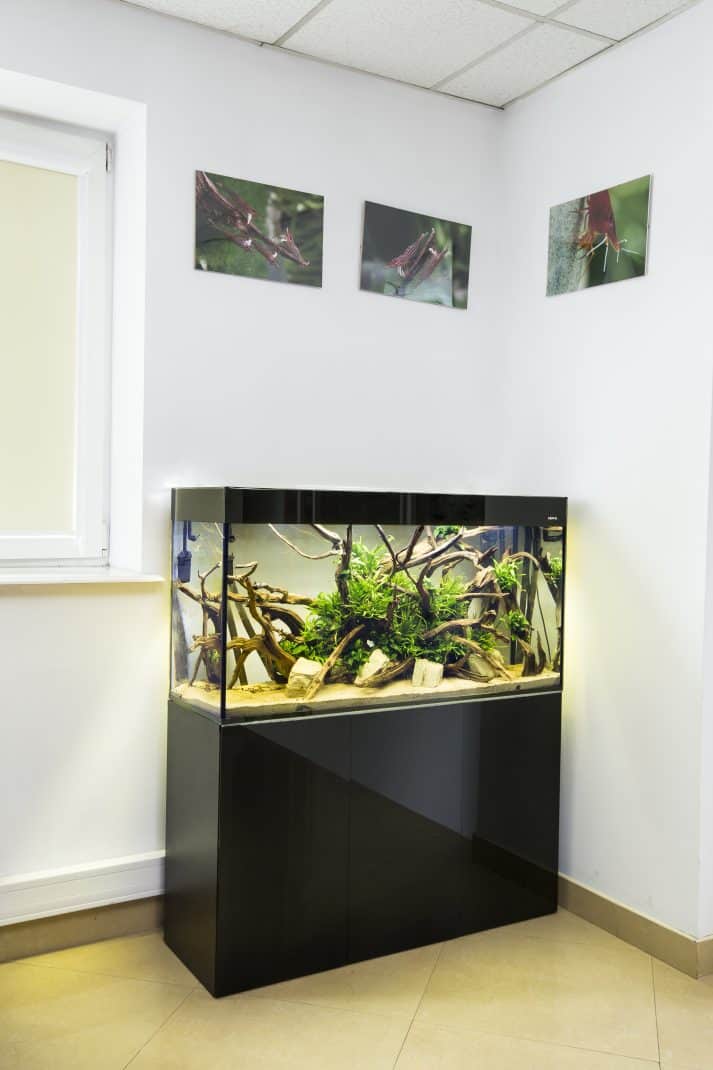 Aquael Glossy 120 Black Cabinet