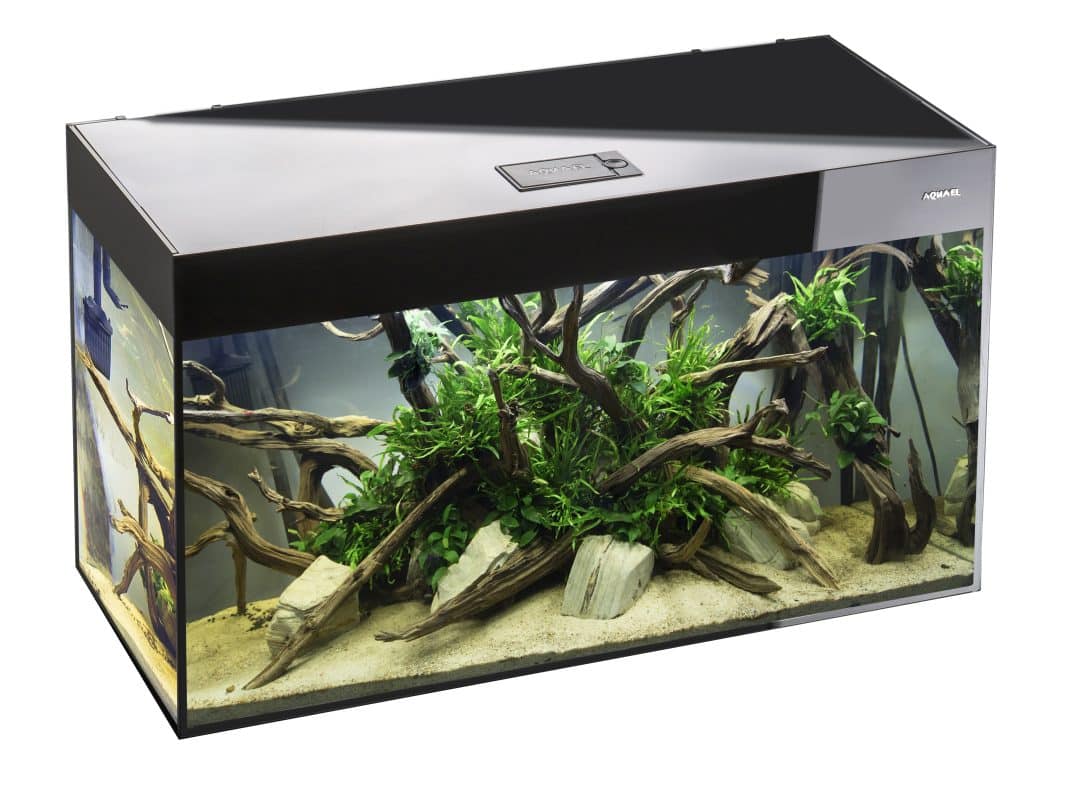 Aquael Glossy 80 Black Aquarium