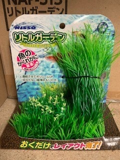Nisso Little Garden Milfoil