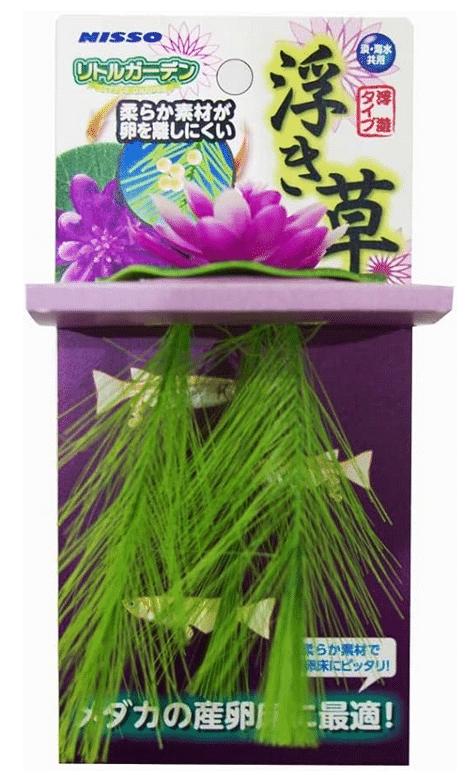 Nisso Floating Lily Pink