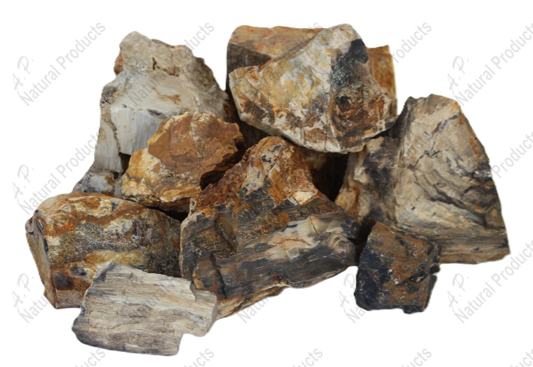 Ap Naturals Petrified Wood 20kg