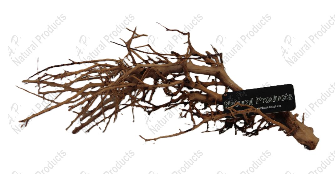 Ap Naturals Tiny Ramous Wood