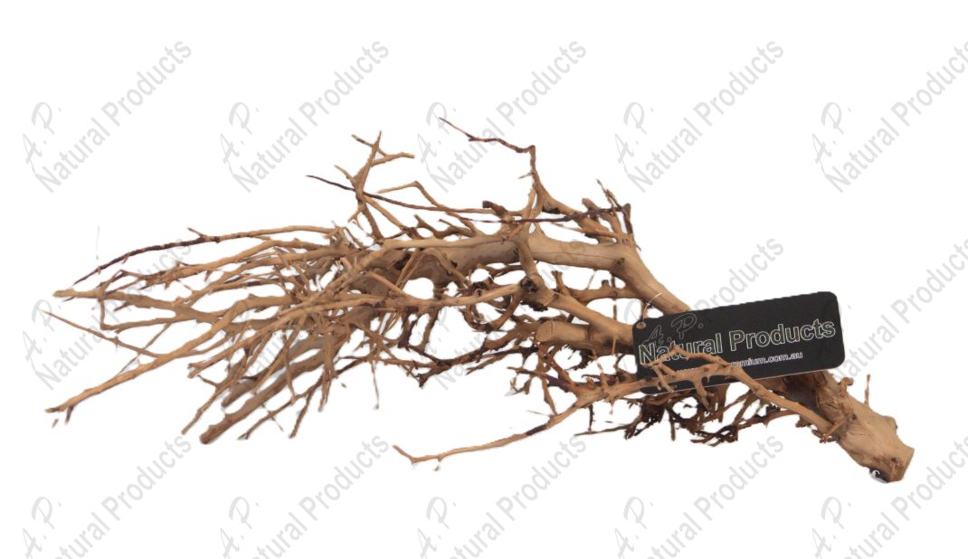 Ap Naturals Tiny Ramous Wood