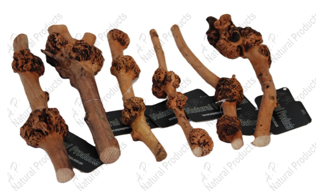 Ap Naturals Sava Wood (medium)