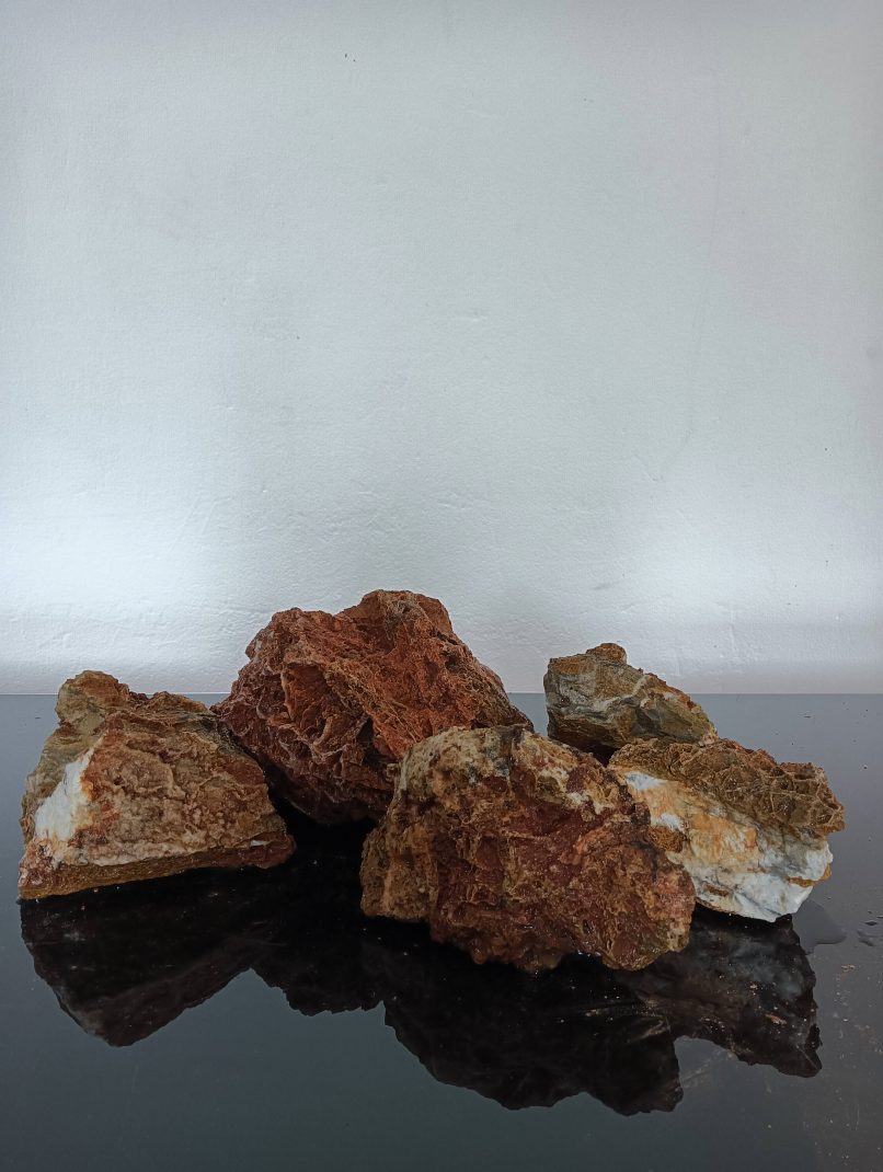 Ap Naturals Maple Leaf Stone 20kg