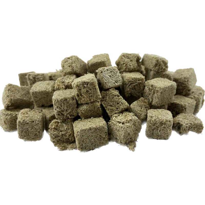 Today’s Tubifex Worms 50g