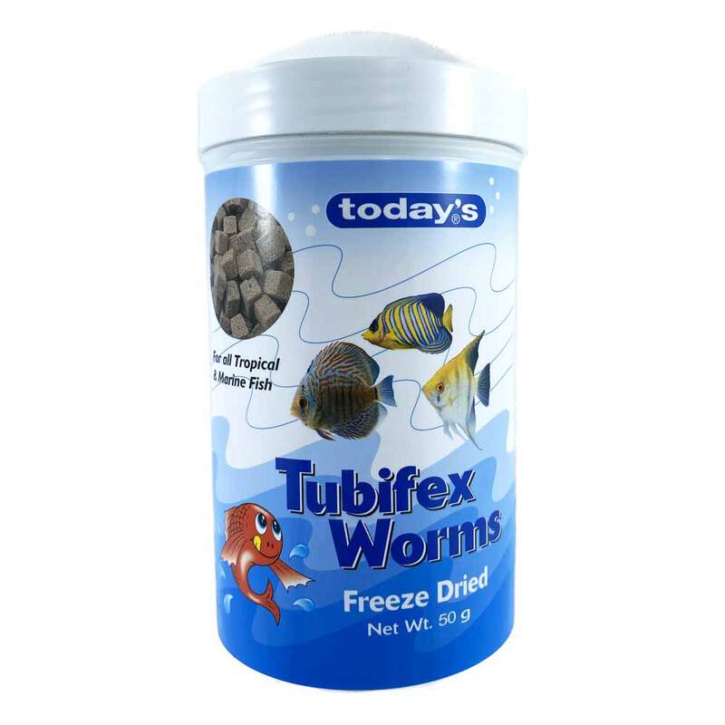 Today’s Tubifex Worms 50g