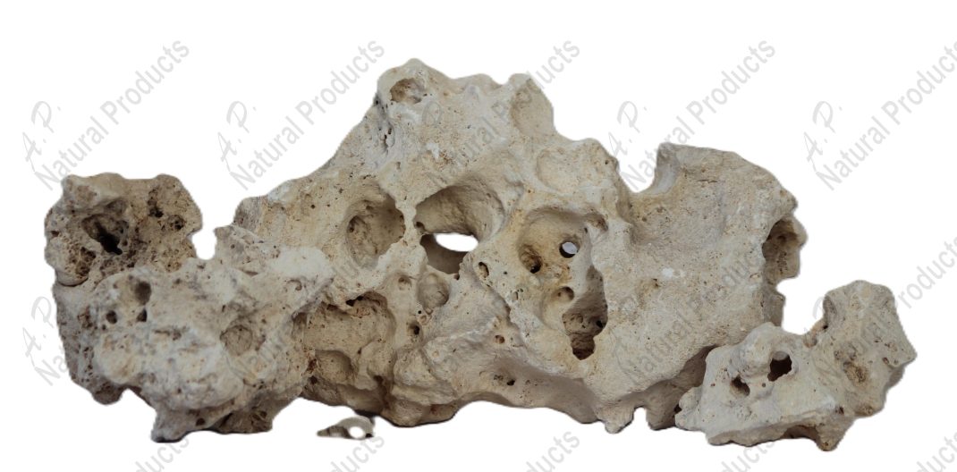 Ap Naturals Texas Holey Rock