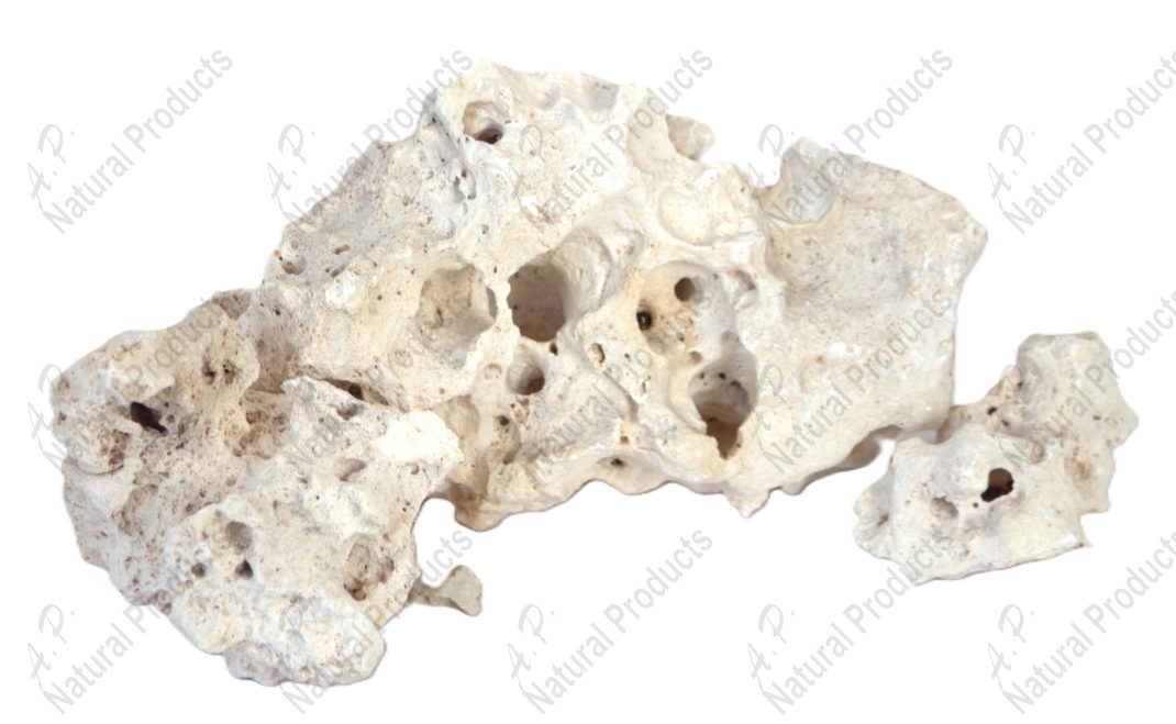 Ap Naturals Texas Holey Rock