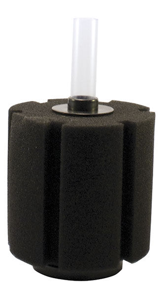 Medium sponge filter